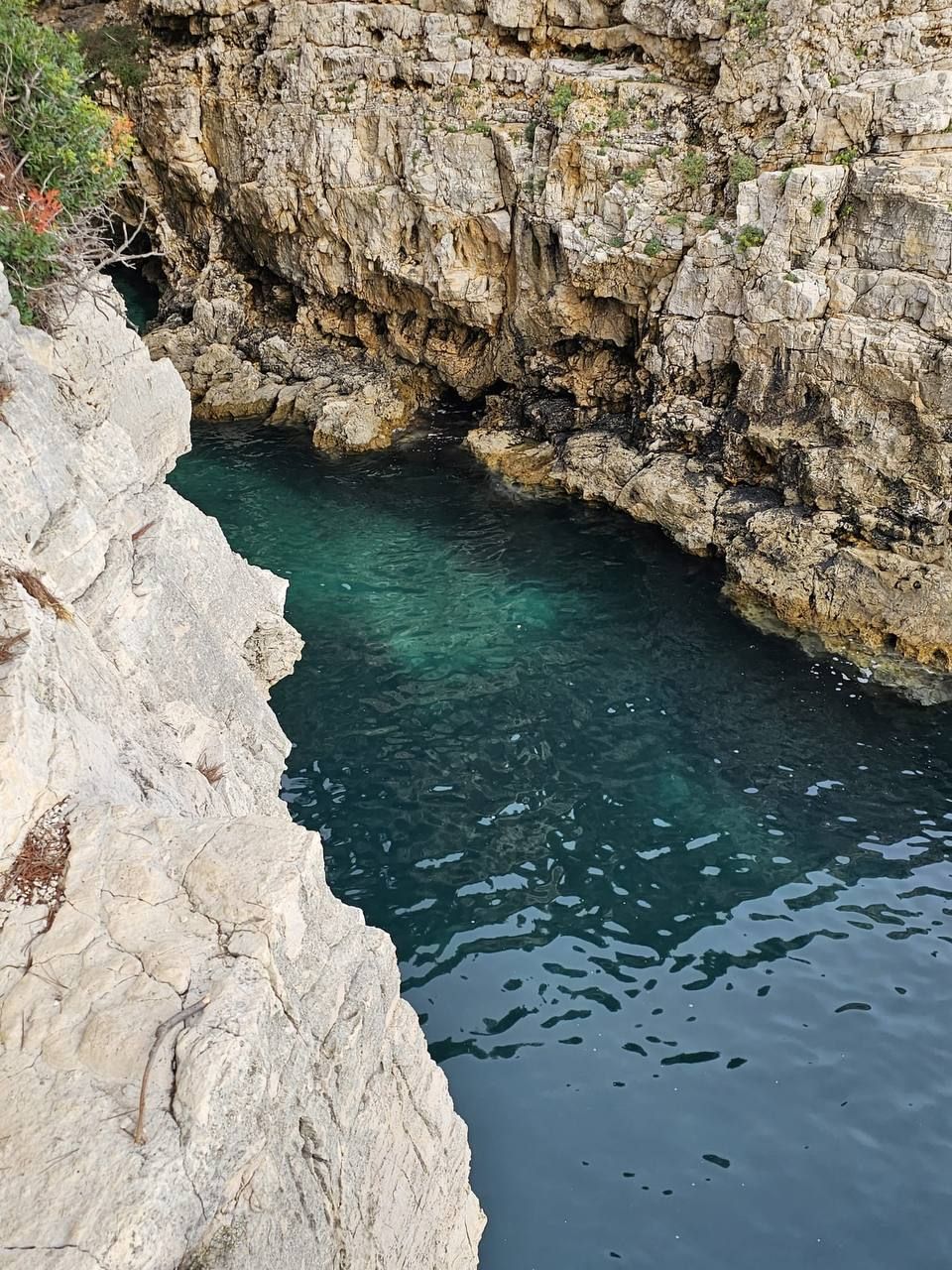 Felsbucht mit glasklarem Wasser in Südistrien