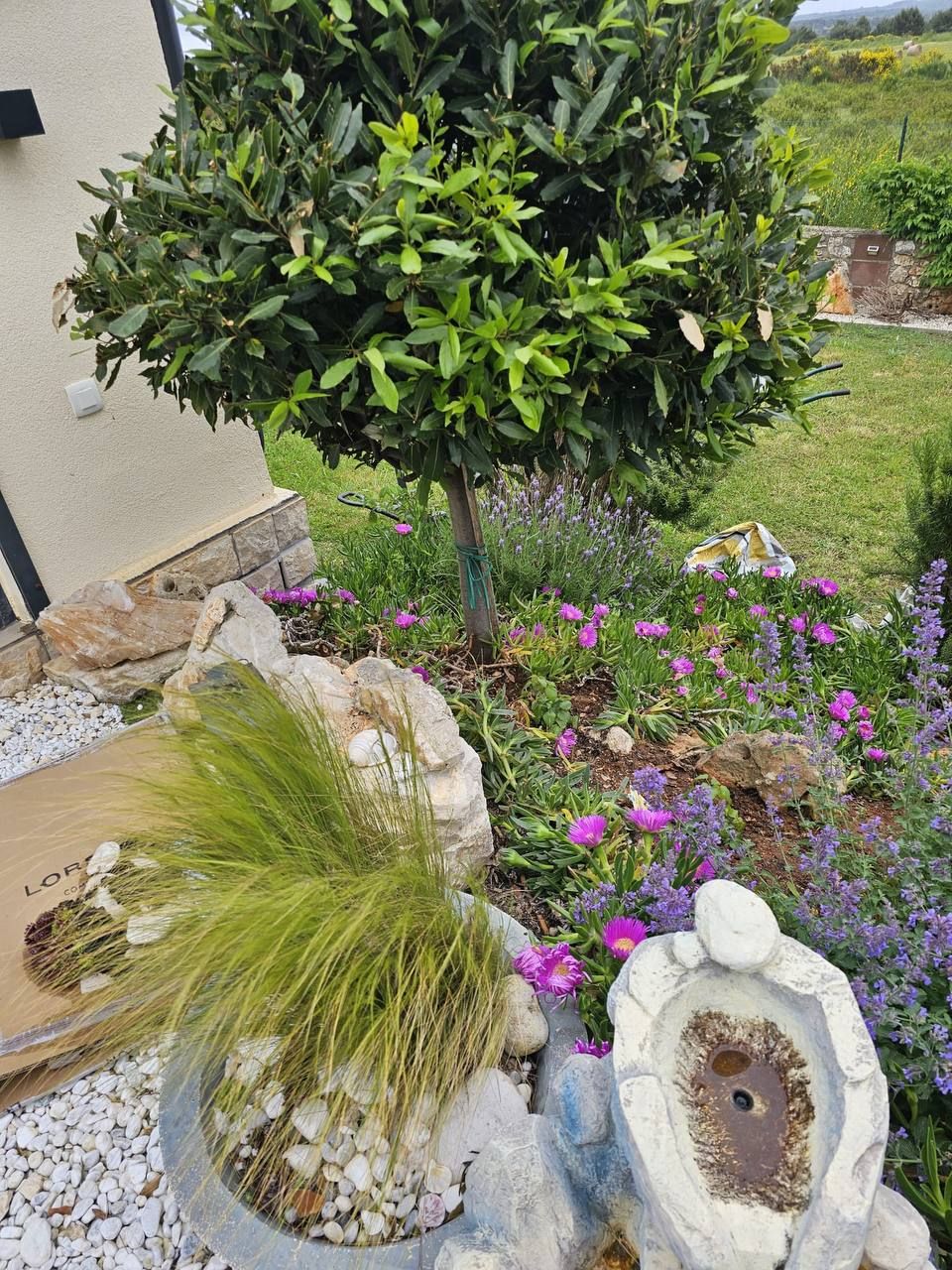 Blühende Beete und kleiner Brunnen im Garten