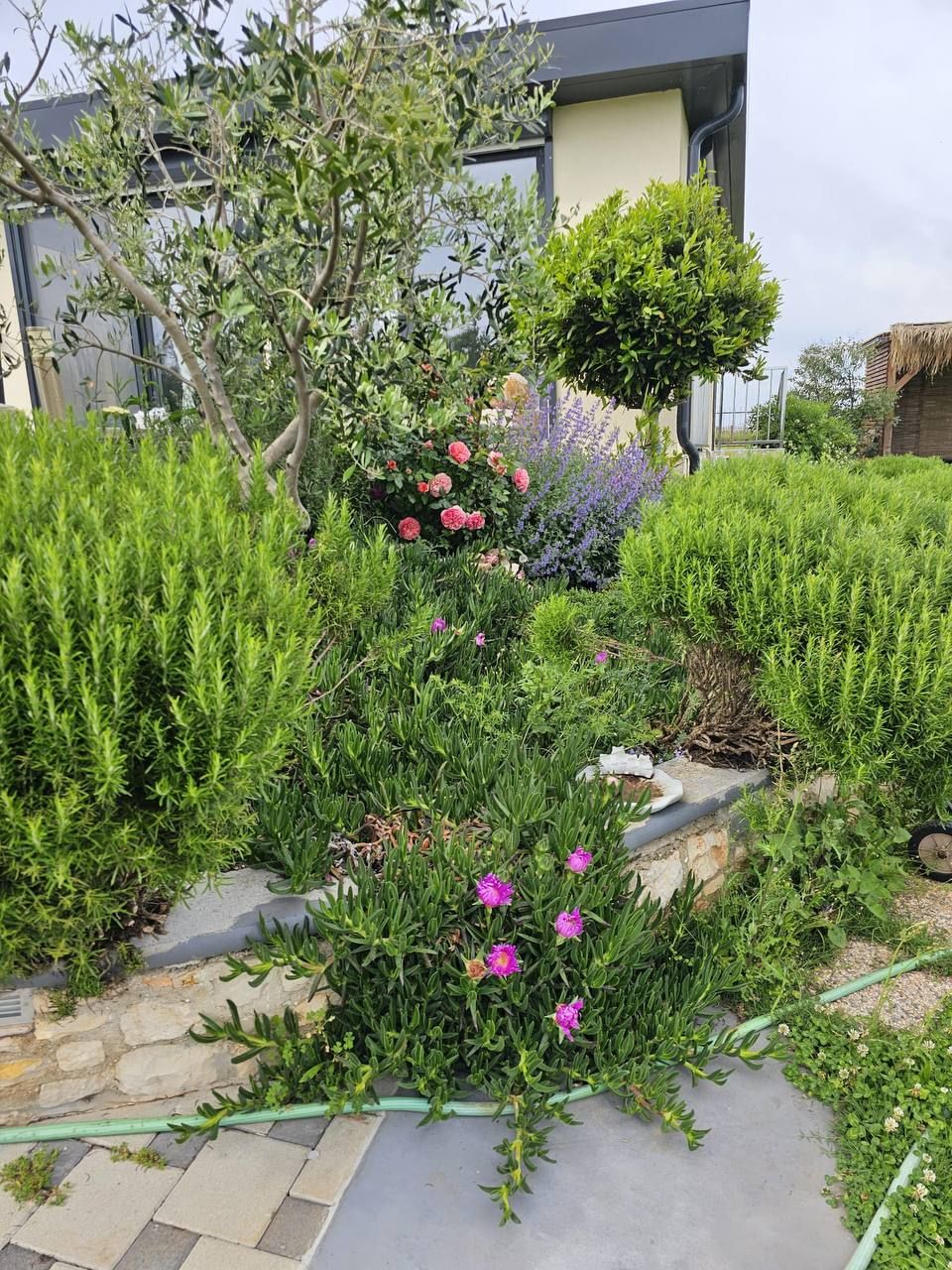 Kräuterbeete und Gartenweg