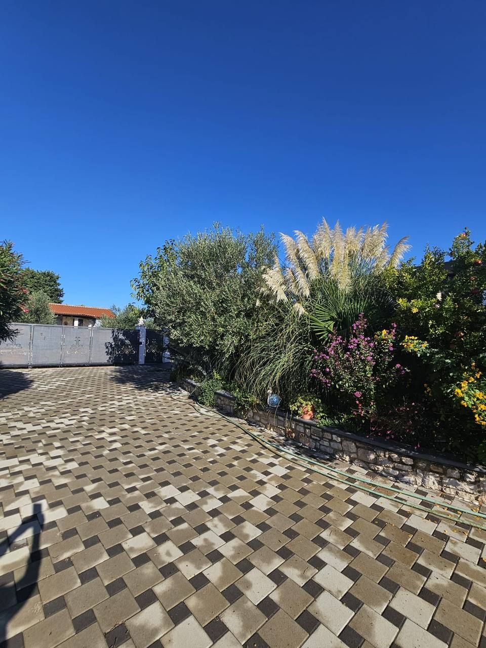 Gartenweg mit Pampasgras und Oleander