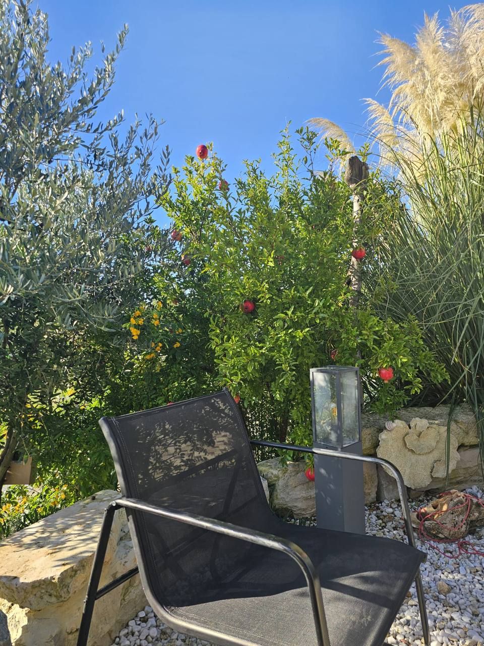 Gartenstuhl zwischen blühenden Sträuchern